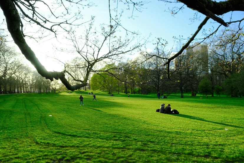 Greater London National Park City Proposal