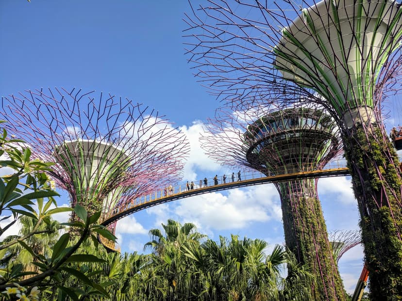 Design guidance for green and thriving public spaces