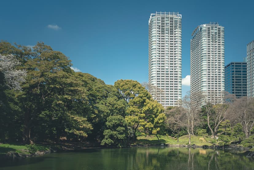 Cities and Human Settlements with Quality Public Spaces