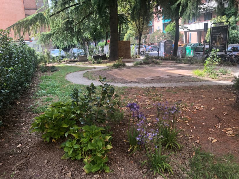 Neighbourhood Biodiversity Garden