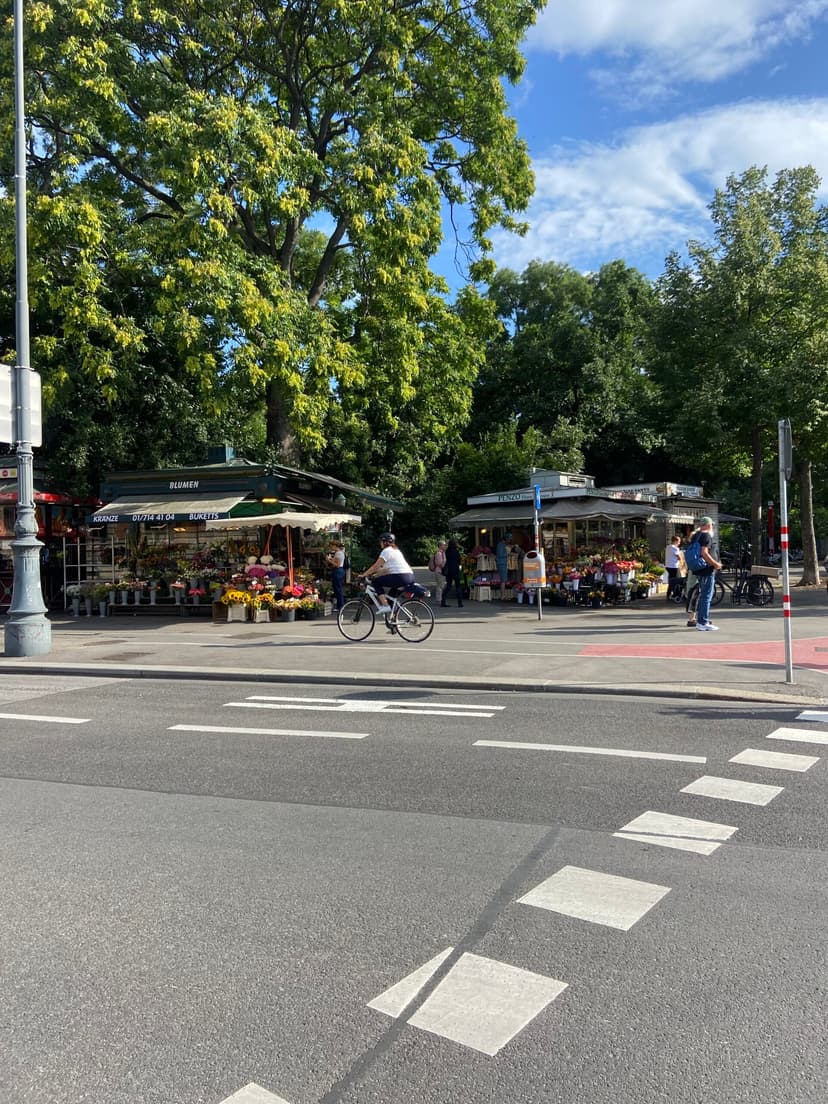 Why would you take away a parking place? The city where anyone can build an urban oasis