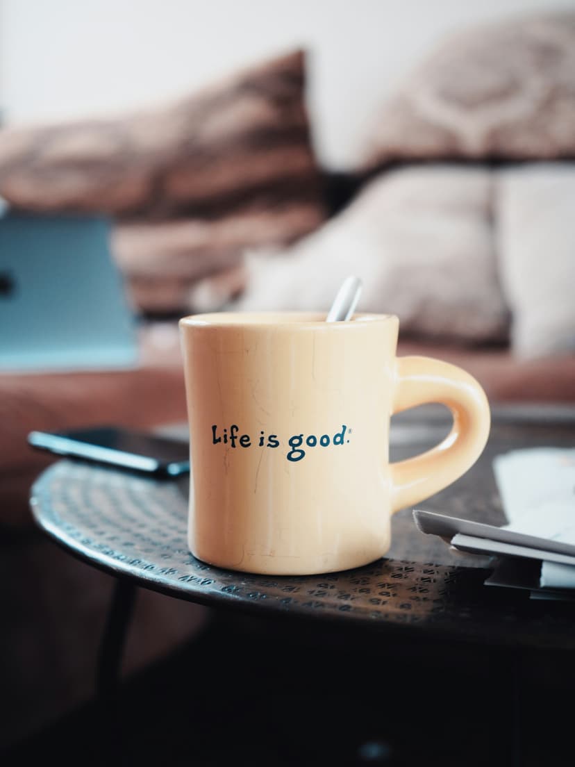 The Quality of Life Initiative Guidelines
