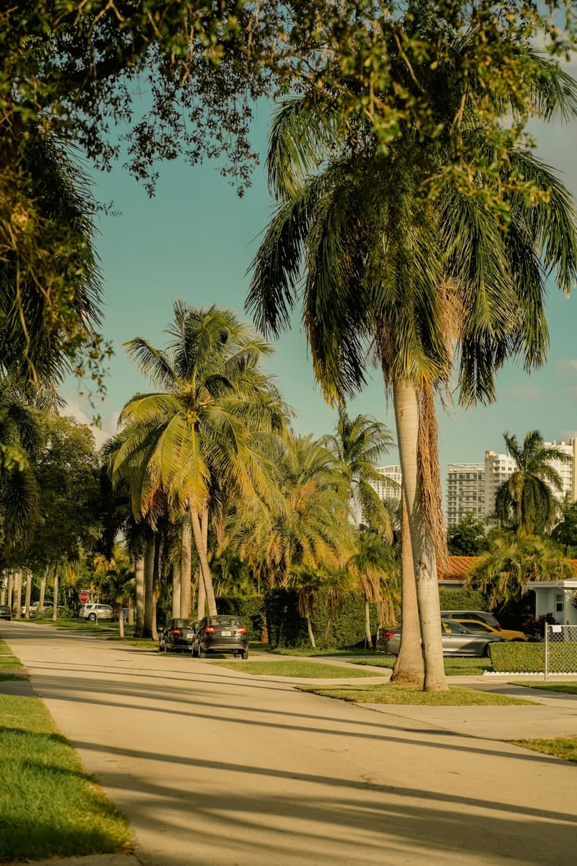 The Underline—Connecting Miami through Mobility, Community, and Nature