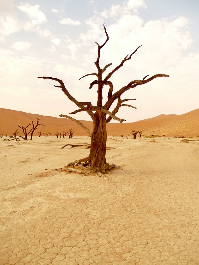 The Climate Dictionary