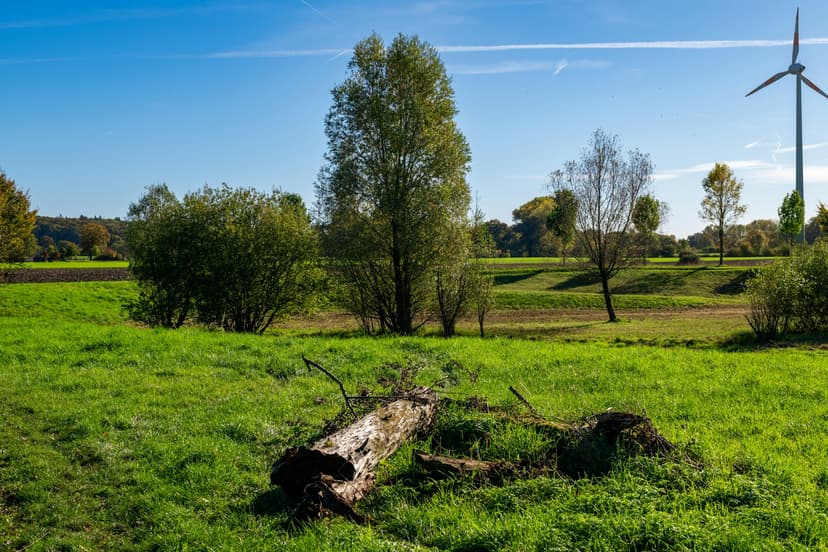 Nature-based solutions