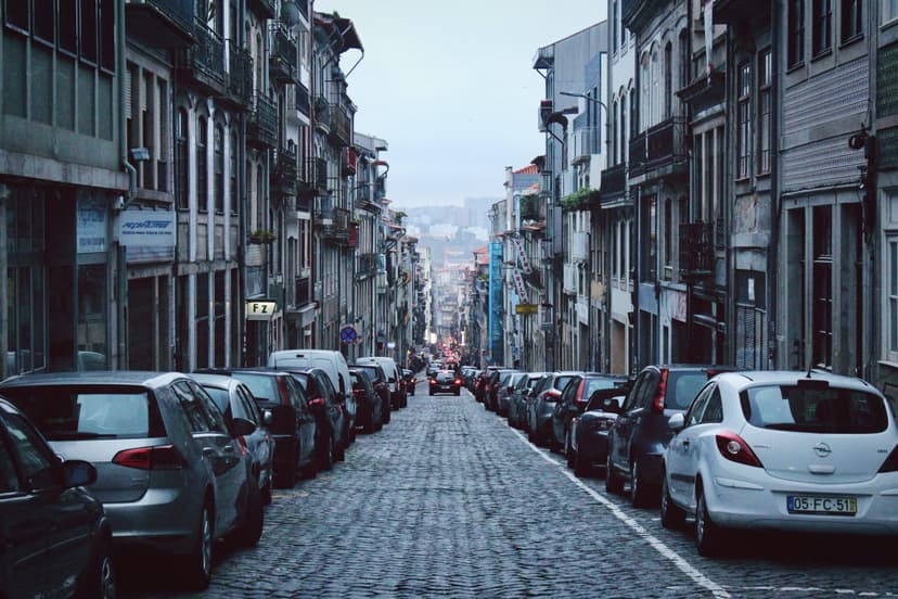 More flowers, fewer cars: the rewilders turning parking spaces into parks
