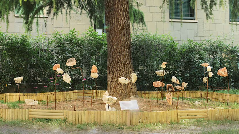 Marcello Tedesco / The garden of crystallised ideas